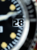 WMT GREEN-LABEL RM0050P "SUB DIVER"