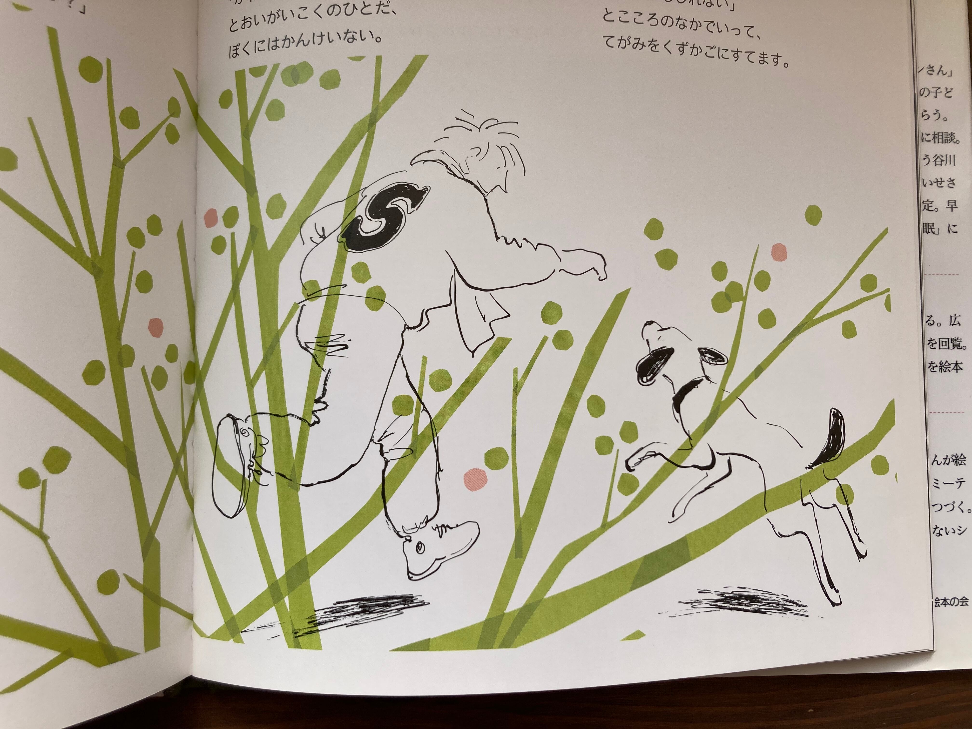 かさをささないシランさん