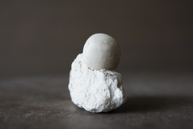 ドイツ産ウニ化石　母岩付き Conulus subrotundus 1048