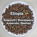 Etiopia Sidamo G1 Shantawene Anaerobic Washed(エチオピア シダモG1 シャンタウェネ アナエロビック・ウォッシュド)100g 【受注焙煎・自家焙煎コーヒー豆】【完熟シトラスが華やかに弾ける、極上の透明感】