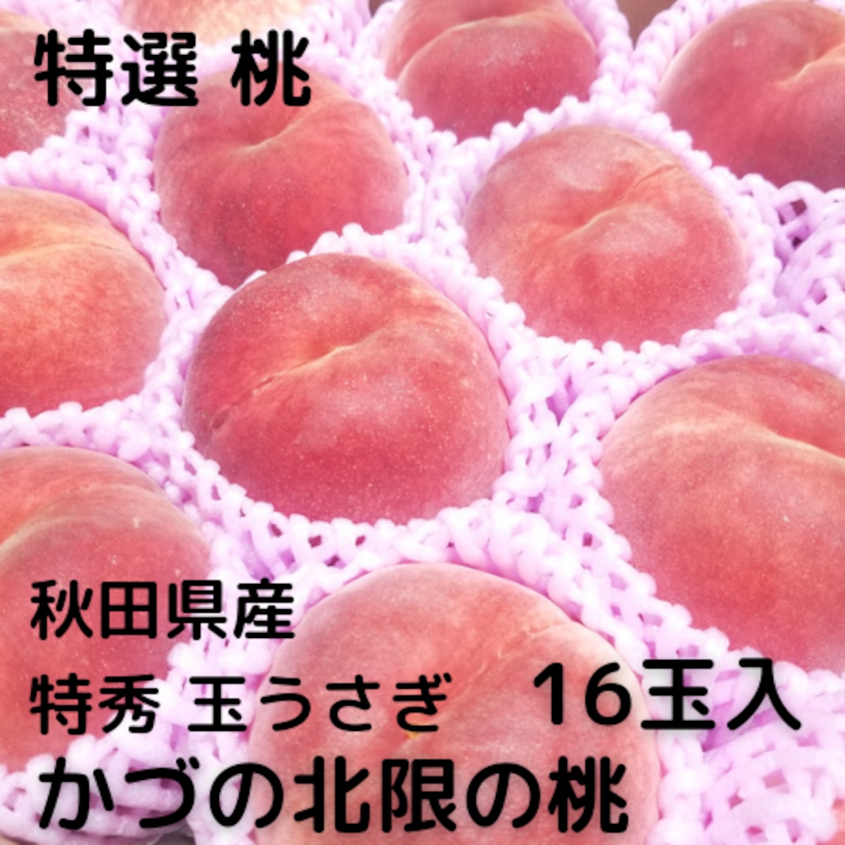 e73072ceb50c5b4a42ff13df5e5ebf