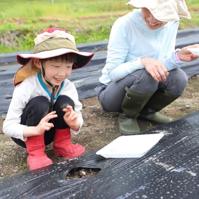 【2024年5月11日開催】いといがわコットンプロジェクト：綿花の畑にタネをまこう！& 早川ピクニック