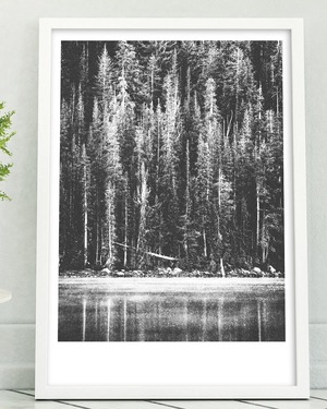 アートポスター / Lakeside forest mono　eb100