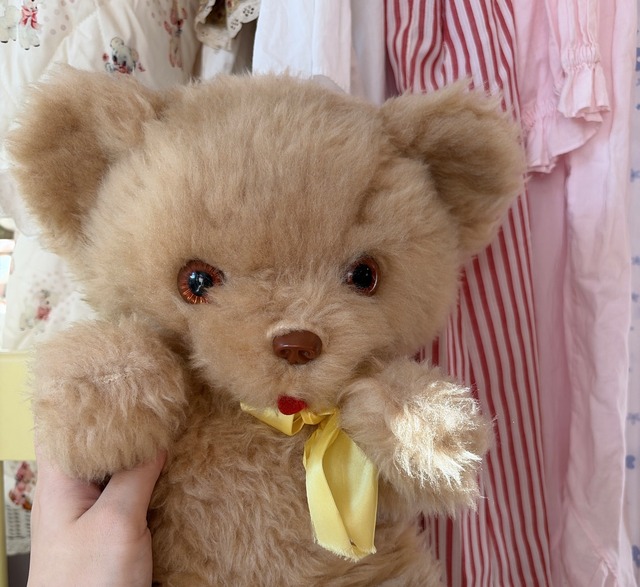 vintage bearの画像