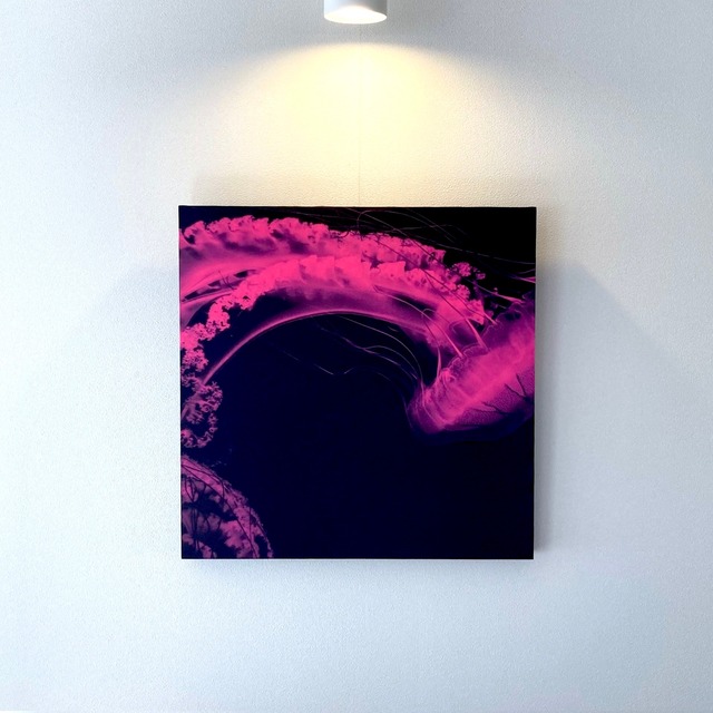 Jellyfish（クラゲ）/ファブリックアート（縦450mm×横450mm×厚み30mm）