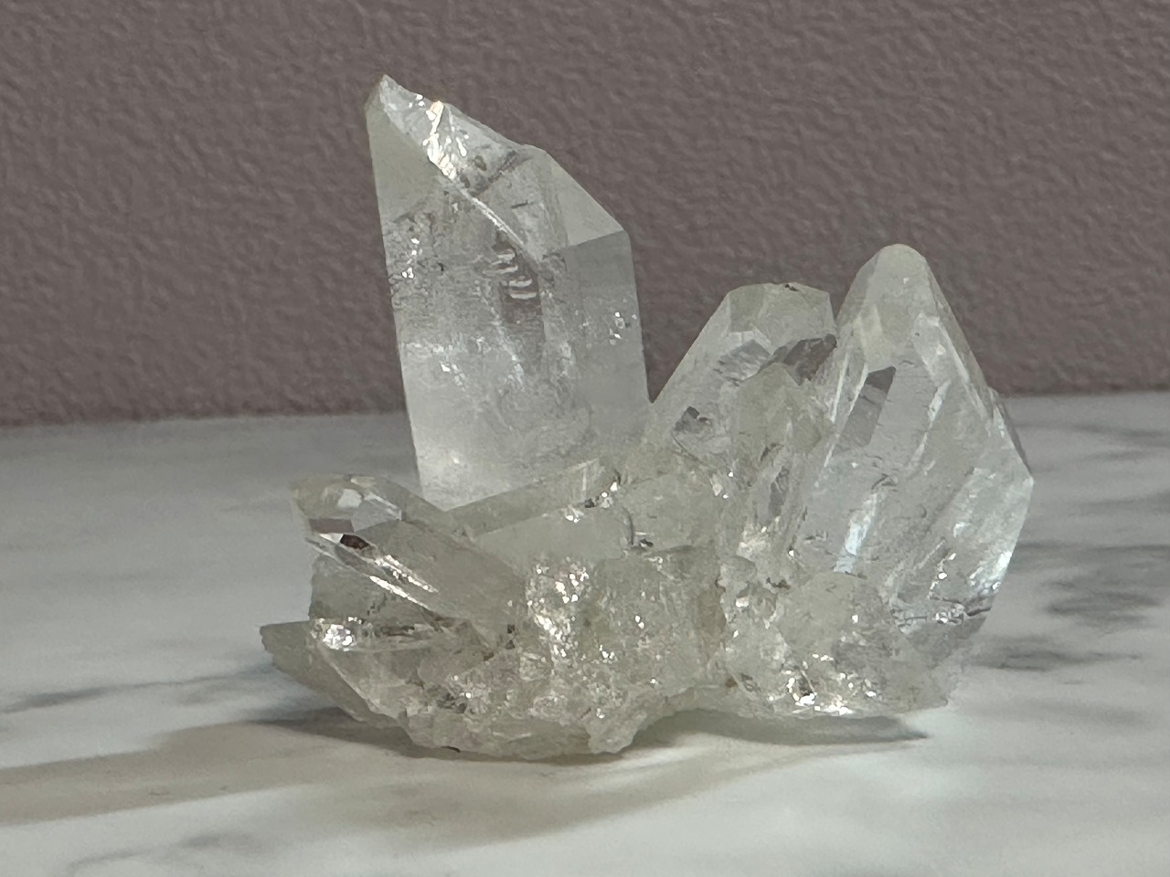 ペット同士が仲良くなる3