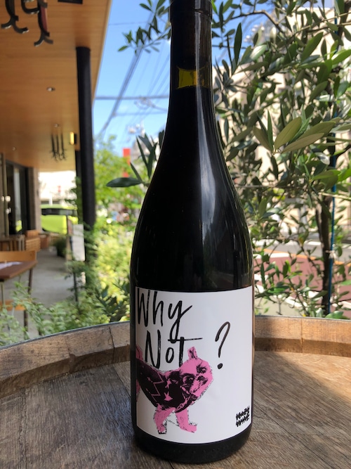 2021　WHY NOT? PINOT NOIR / KAZU WINE【ニュージーランド】