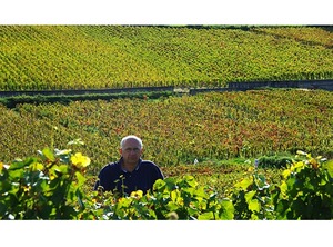 【フランソワ・ダレン】ピュリニー・モンラッシェ テート・ド・キュヴェ 2020