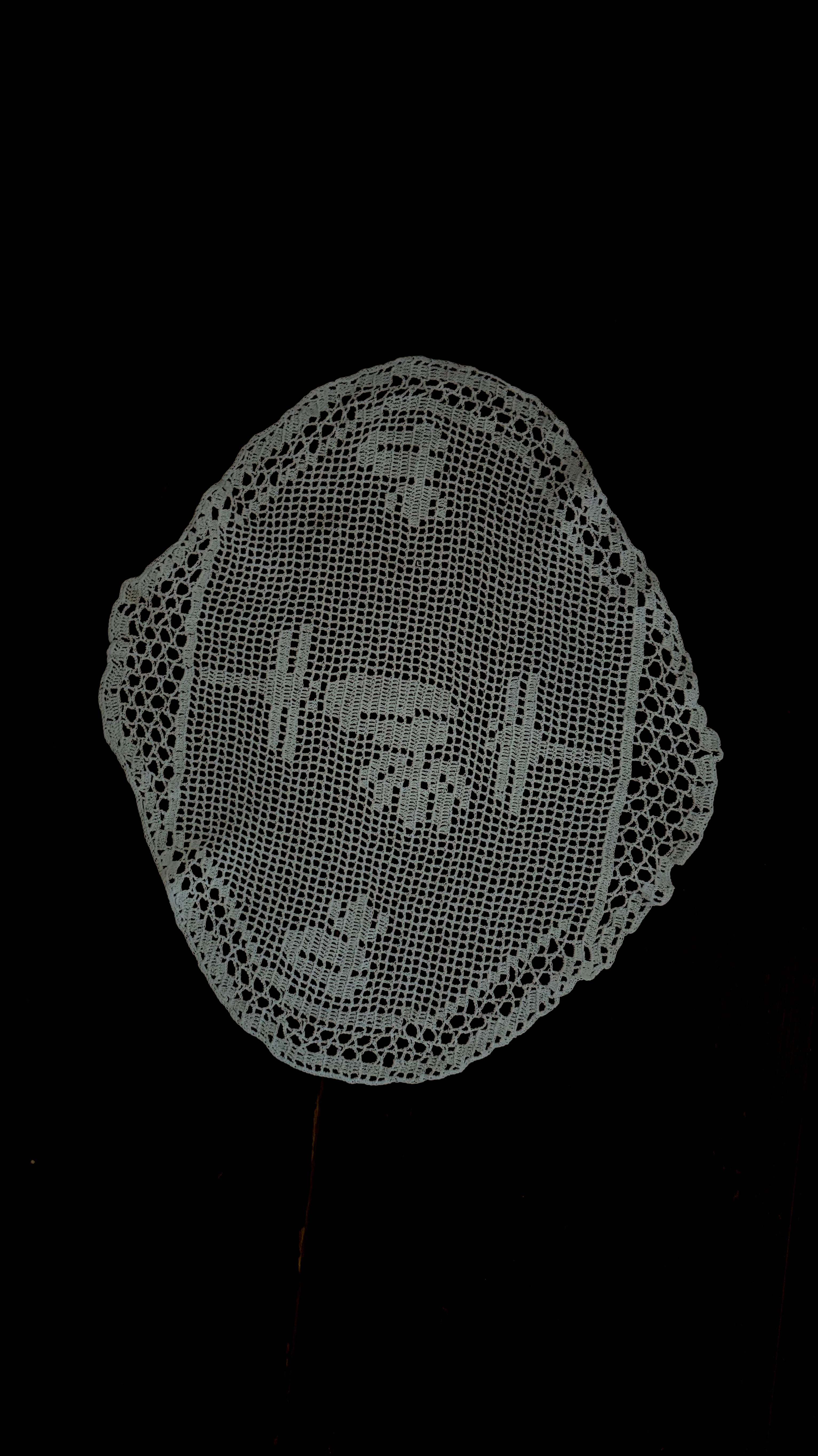 vintage Insect Motif Filet Lace Doily