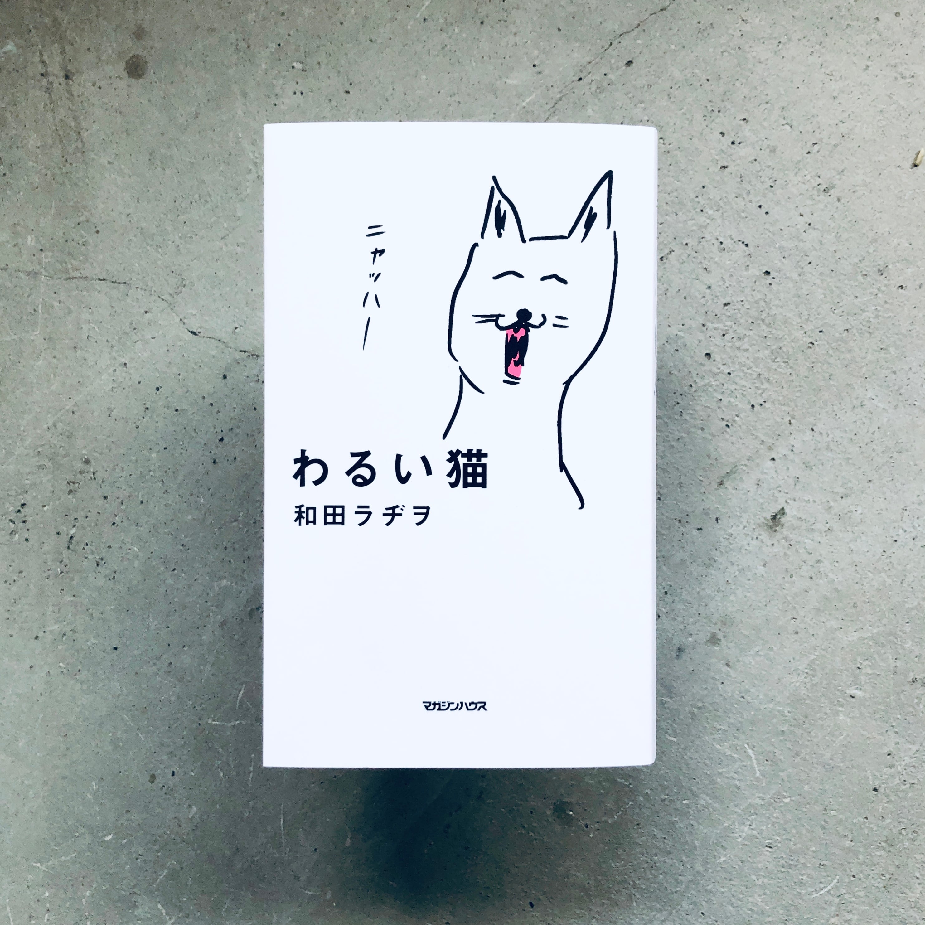 わるい猫｜和田ラヂヲ（著者サイン本＊購入特典付き） | 本の轍