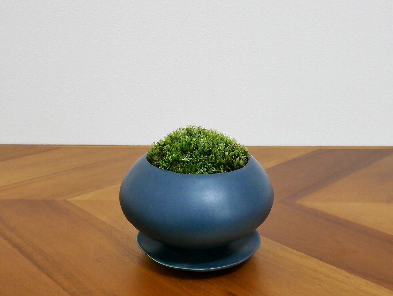 インテリア盆栽*苔栽 005