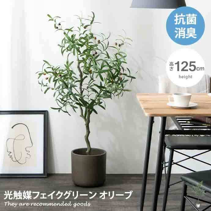 高さ120cm】パキラ-光触媒人工観葉植物 | Lohas Style倶楽部