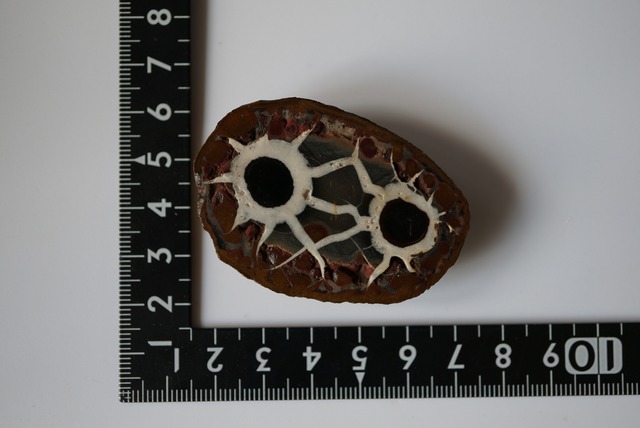 セプタリアン　Septarian　821