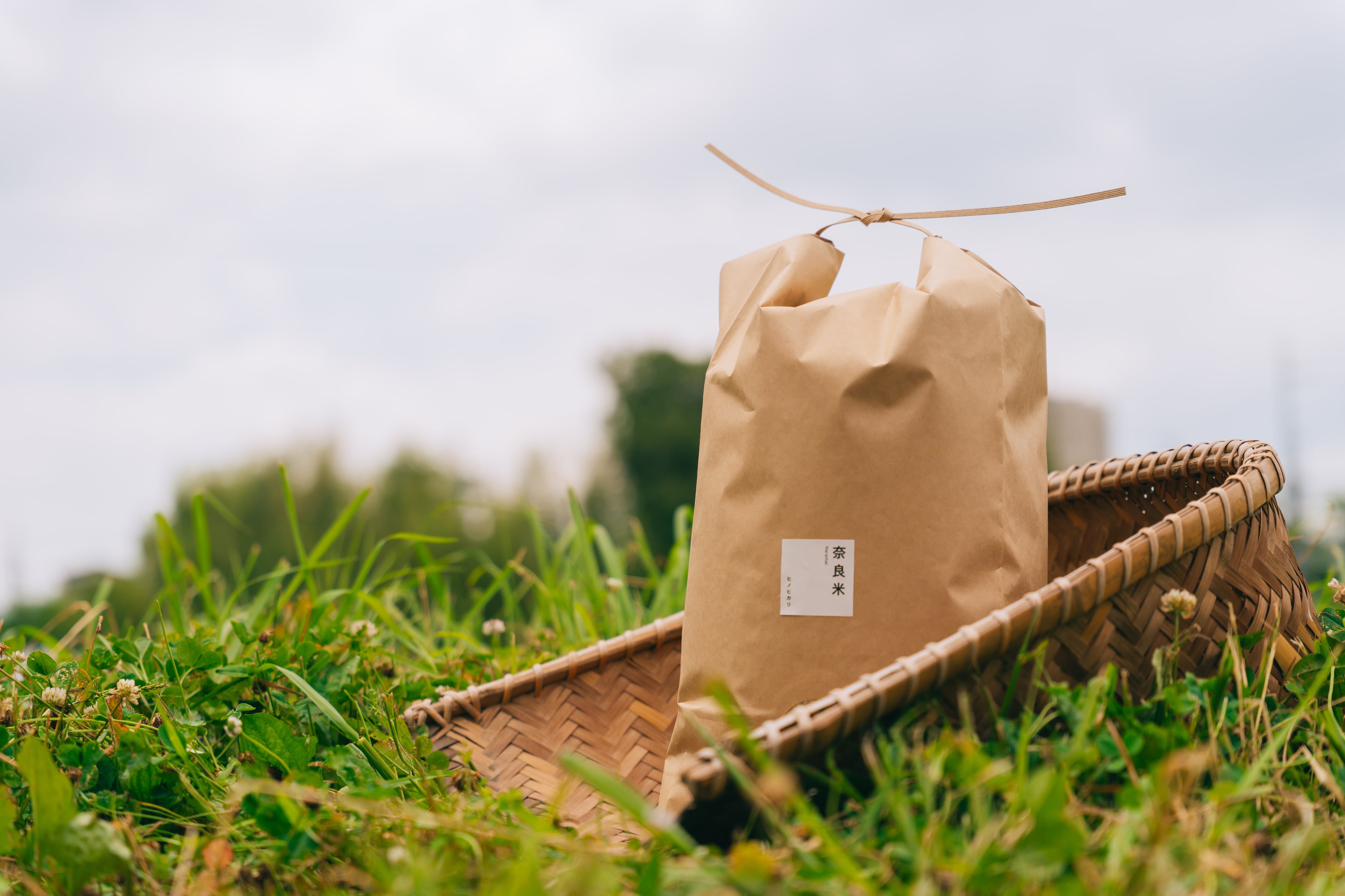 新米！玄米 5kg｜冷めても美味しい：奈良米ヒノヒカリ(2025年 令和7