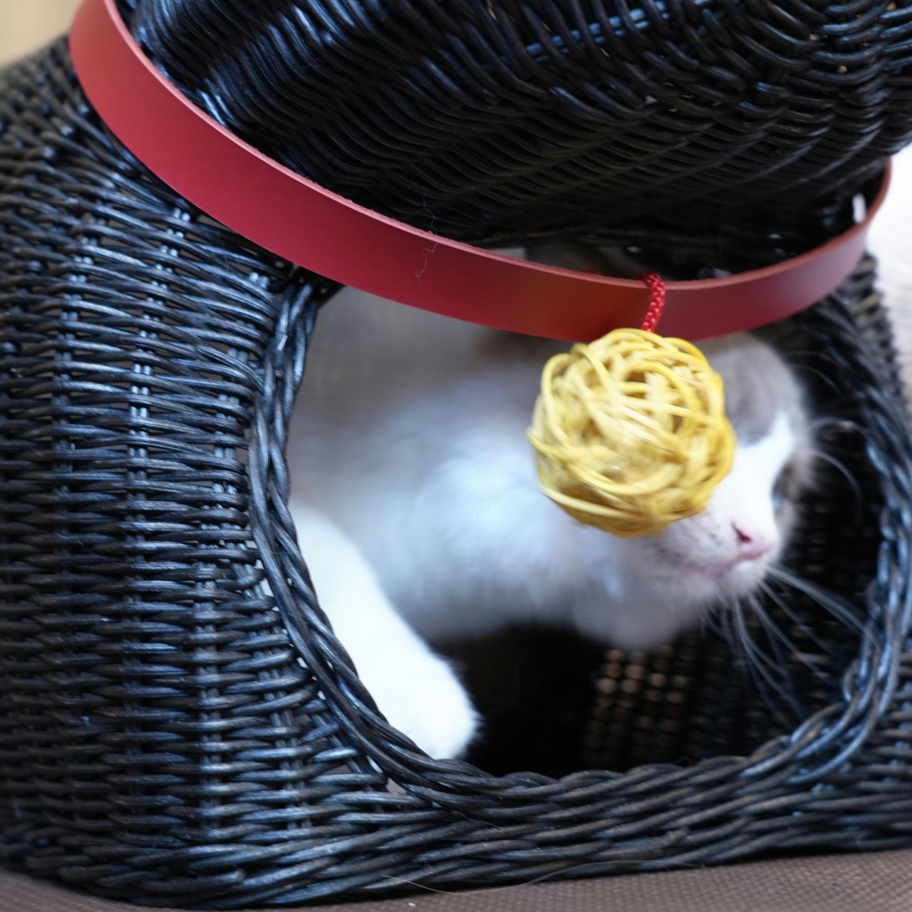 ※完売しました 【シンシアコラボ福袋（B-CaLLオリジナル）】猫のかまくら（ネコぐら）,合計39,000円以上相当の猫グッズ！人気おやつ,グッズ,ウェットフード