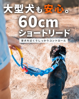 ショートリード 60cm ショートリード 60cm