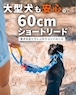 ショートリード 60cm