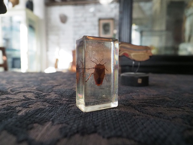 2026年 ハッピー・セット  オブジェ