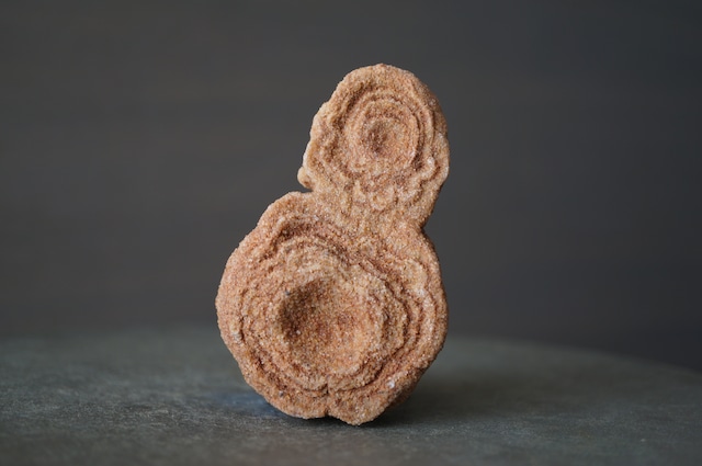 モロッコ産ストロマトライト Stromatolite 2306