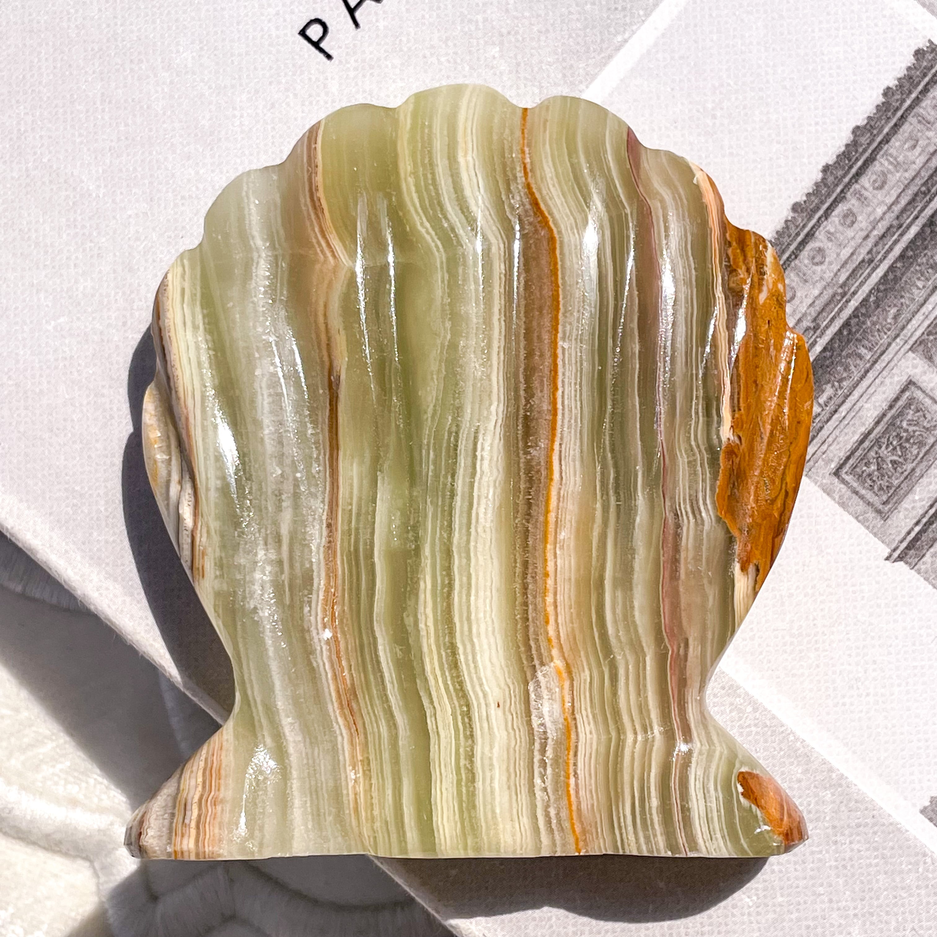 Green Onix Calcite Shell 2 ✧ グリーンオニキス