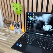 \ 公式ショップ限定価格❣️/ LTE《2023年モデル》富士通 LIFEBOOK U9313/N ブラック 第13世代 SSD256GB 軽量ノートパソコン 安心サポート&3ヶ月保証付き