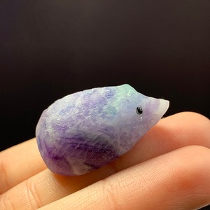 ぷっくりフローライトハリネズミさん