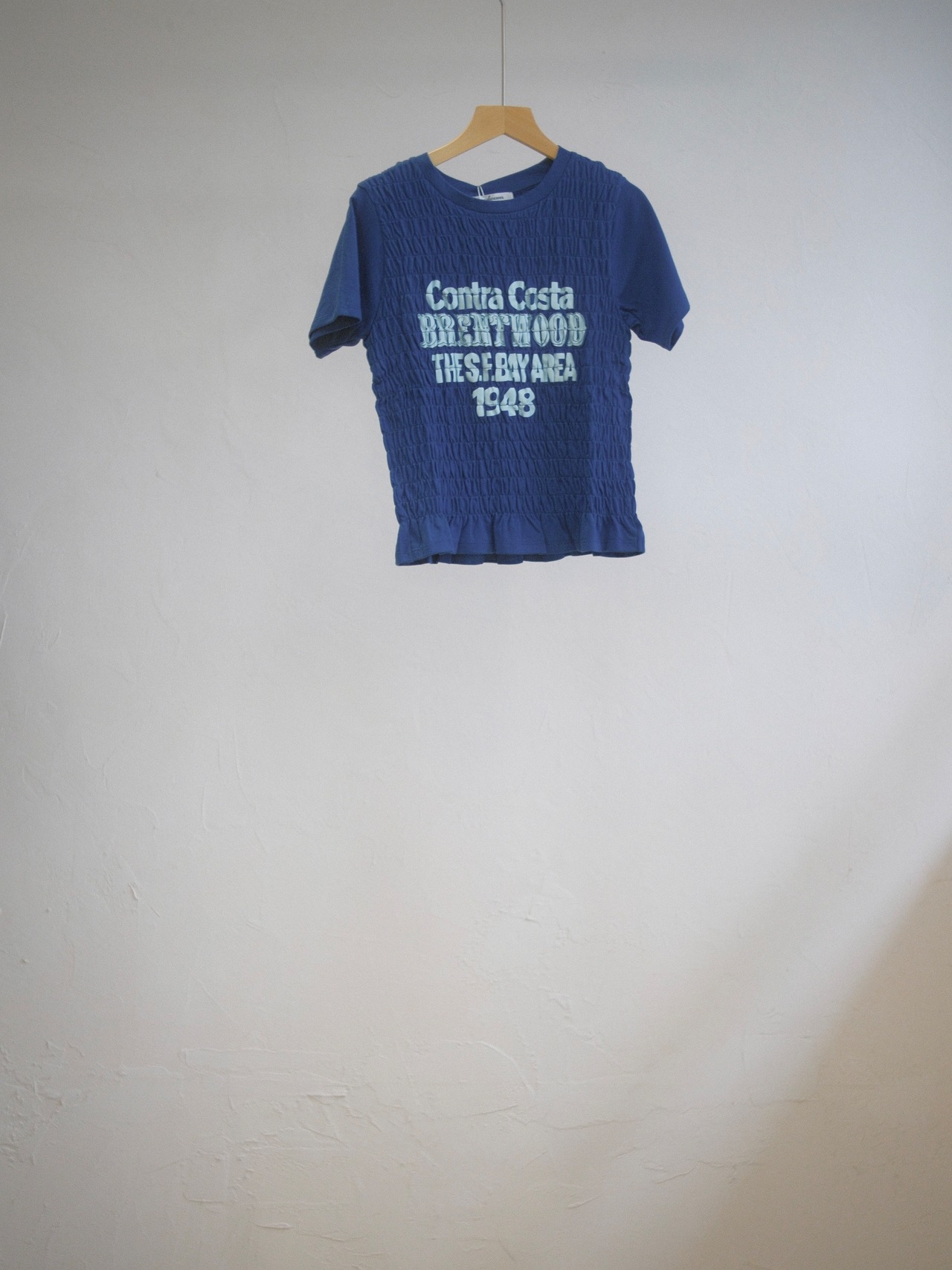 Shirring Graphic Tee / BLUE - 4