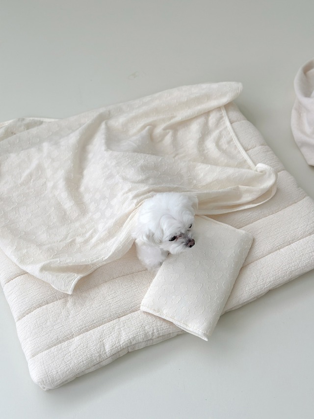 〈 予約アイテム 〉EYOU /もこもこピロー