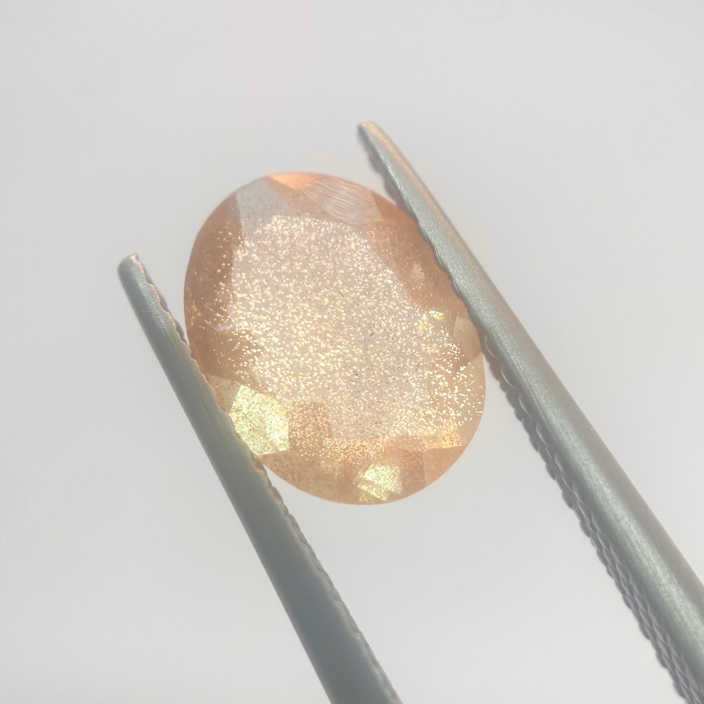 桜満開　オレゴンサンストーン