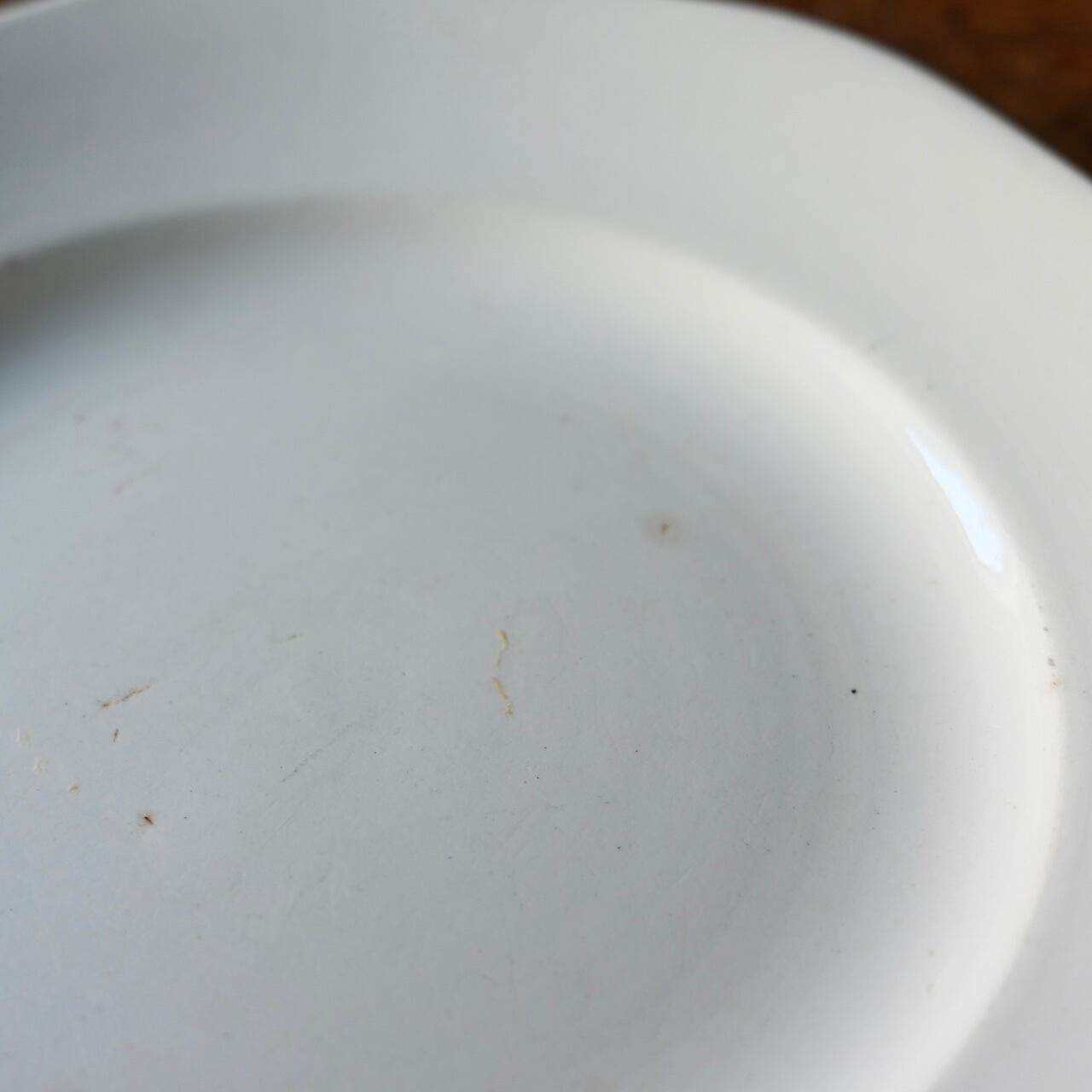 U & C Sarreguemines サルグミンヌ＊アスパラガス用プレート U & C Sarreguemines サルグミンヌ＊アスパラガス用プレート