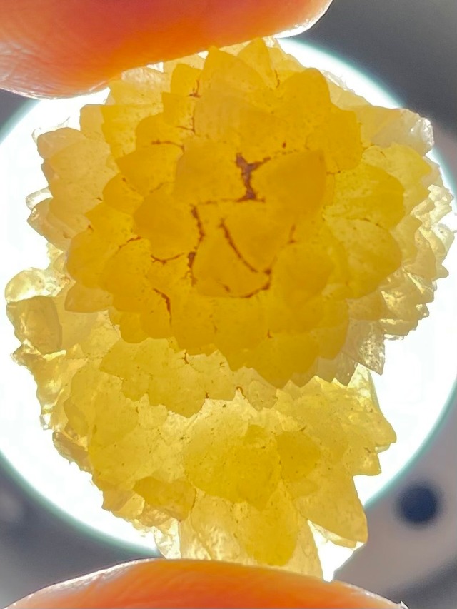 13) 超・古代レムリアンパワー！「カウアイ・レムリアン・ゴールデンハニーカルサイト」美結晶