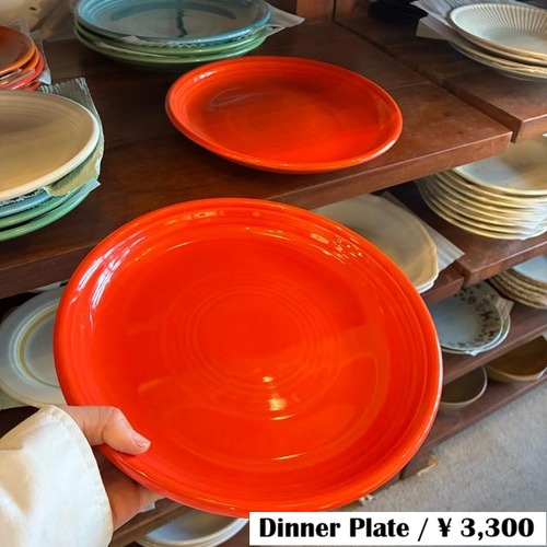 ORBIT Dinner plate 26cm 3color　オービット　ディナー皿　全3色　レッド　ブルー　グリーン　メインディッシュ　大皿　丸皿　電子レンジ　オーブン　食洗機