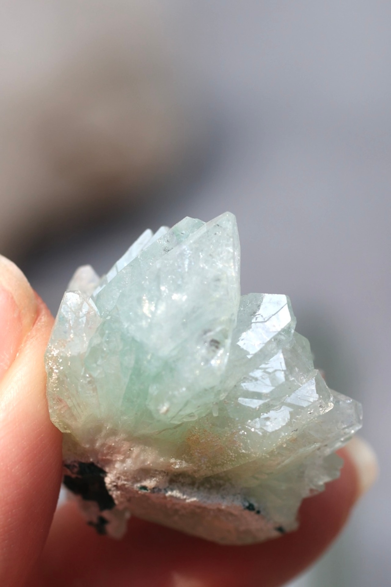 グリーンアポフィライト 「春の新芽」Green Apophyllite ◇ 天然石・鉱物・パワーストーン・原石 | st00357
