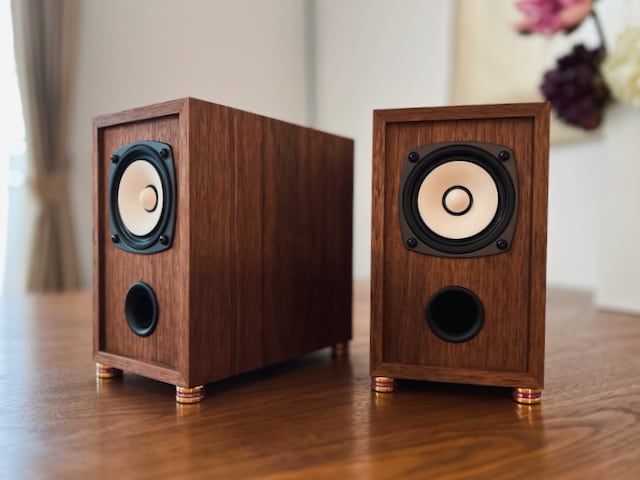 Fostex T925A-ST | Xperience Speaker Factory