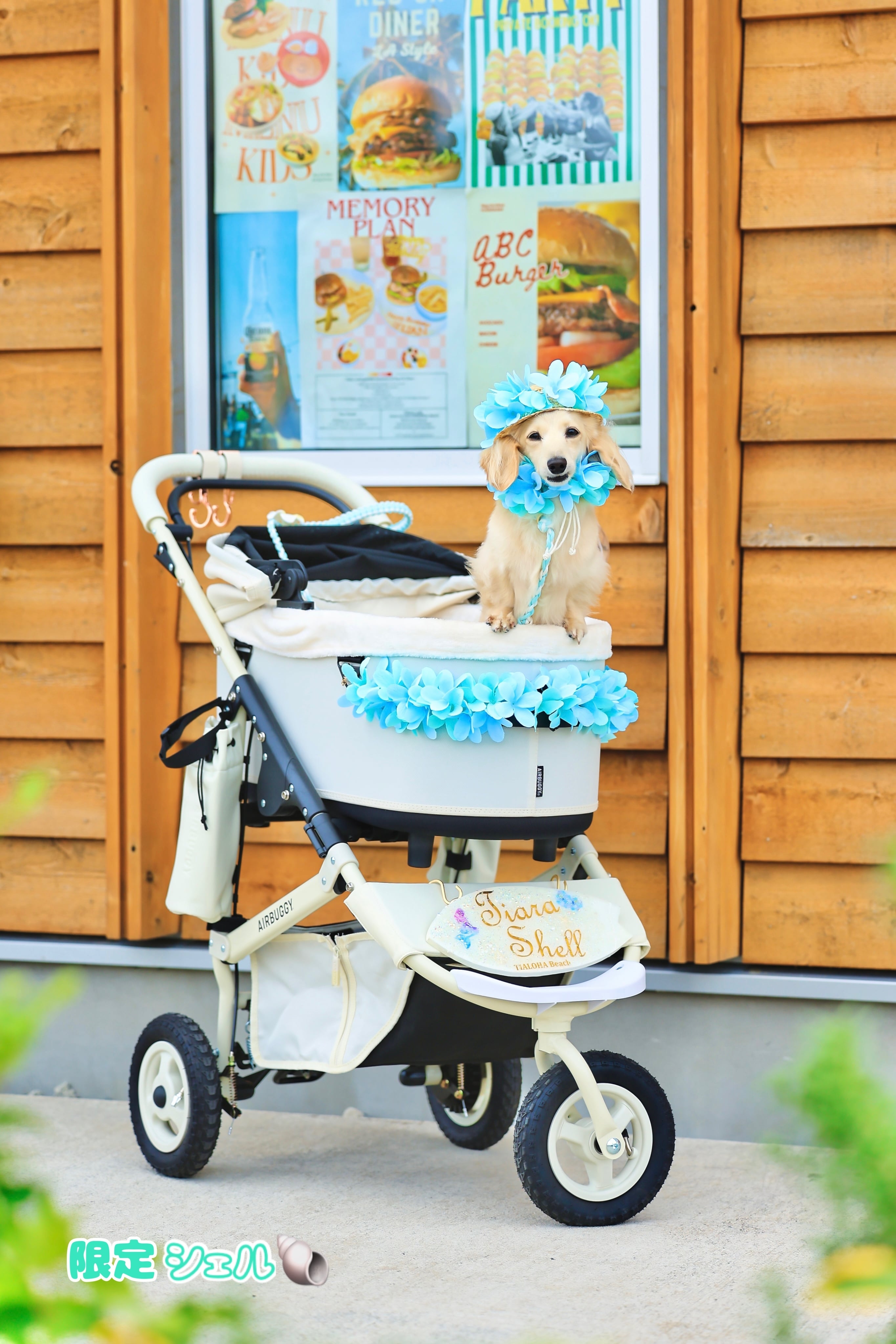 バギーカートレイ