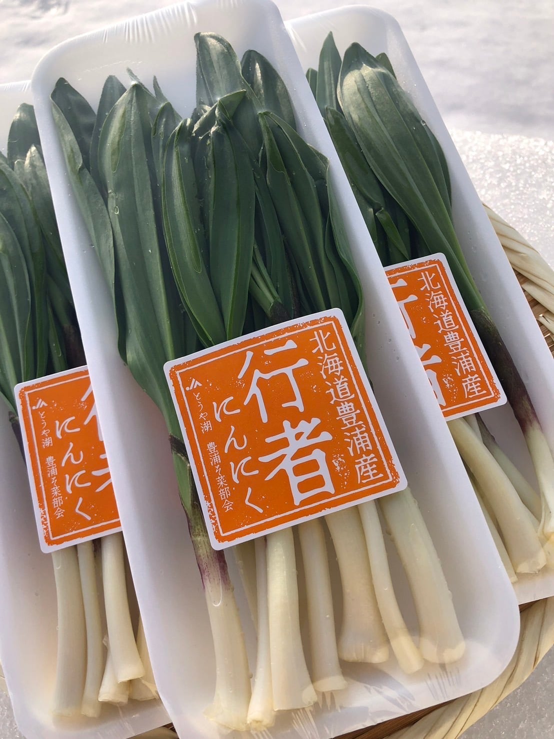 豊浦町産 行者にんにく（50g入り8パックセット）【たつんこファーム