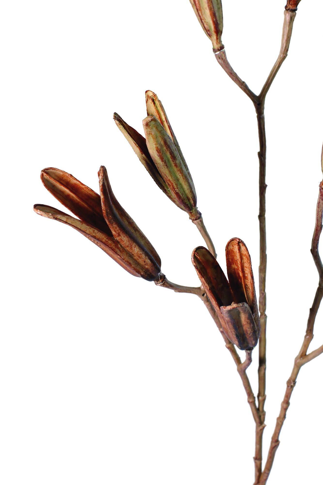 ドライリリーシードスプレー　　FG-5183BR　4961823411175　造花（アーティフィシャルフラワー） > 定番造花グリーン（素材）