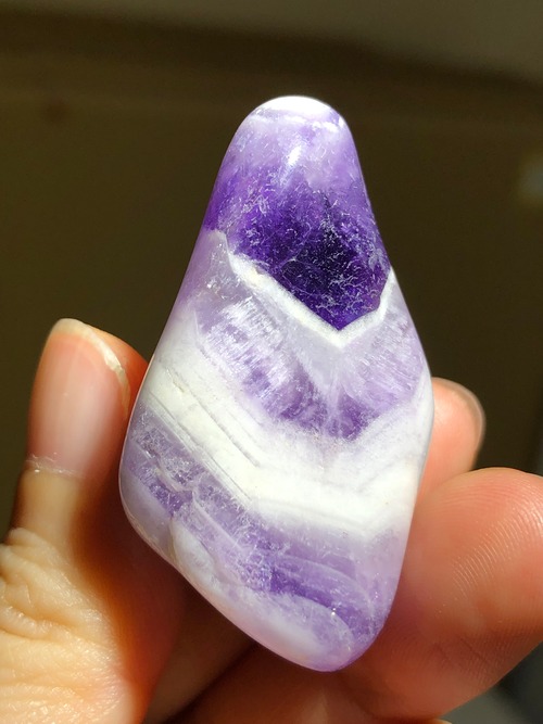 ただリラックスしているだけでも価値が溢れる