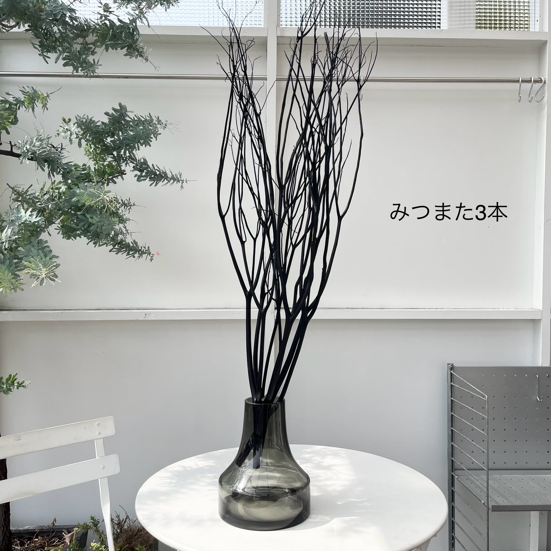 mikateaさん確認用　スモークツリー　オールドファッション mikateaさん確認用 スモークツリー オールドファッション mikateaさん