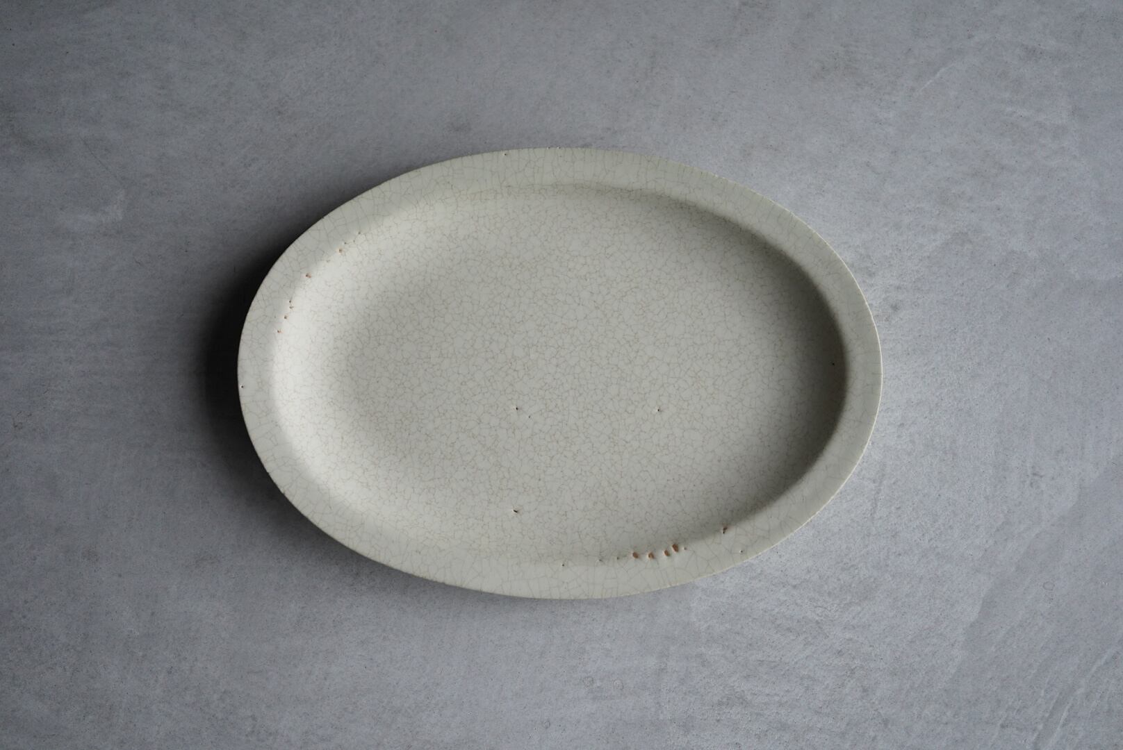 【コレクション株】 現地球 コミフォラ グイドッティ 活着済 船串篤司 作家鉢 コレクション株】 現地球 コミフォラ グイドッティ 活着済 船串篤司