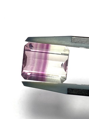 5.レインボーフローライト［No.HA-5005］