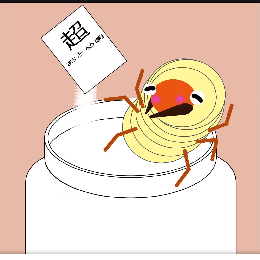 超おとめ菌 | おとめの工場 さぷらぼ店