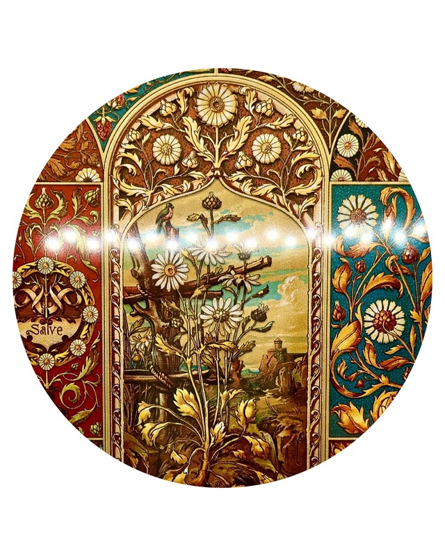 Paperblanks(ペーパーブランクス)　ノート　ウィーンの果実　罫線（ミニ） 176ページ