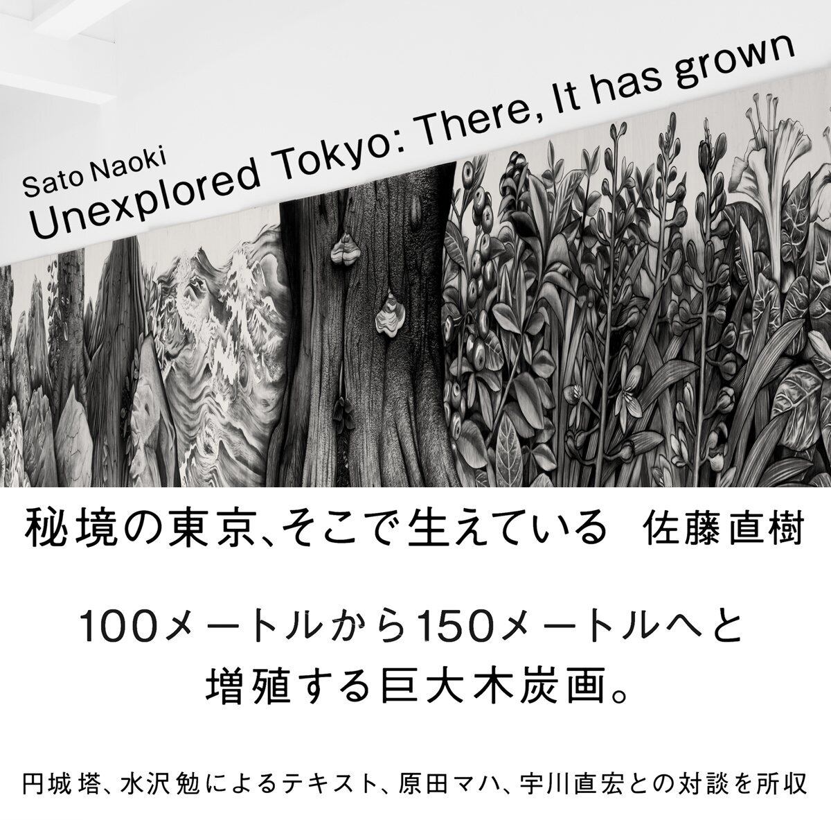 It　grown』佐藤直樹　has　Tokyo:　『秘境の東京、そこで生えている　There,　Unexplored　東京キララ社