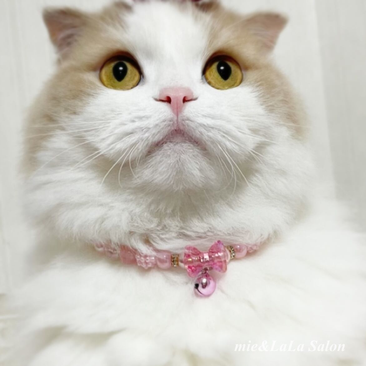 短毛シュシュ、(エメラルド)わんちゃん猫ちゃん用