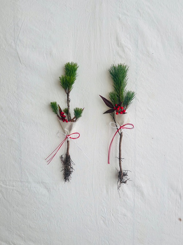 根引き松飾り〈秋田八竜・2本セット〉