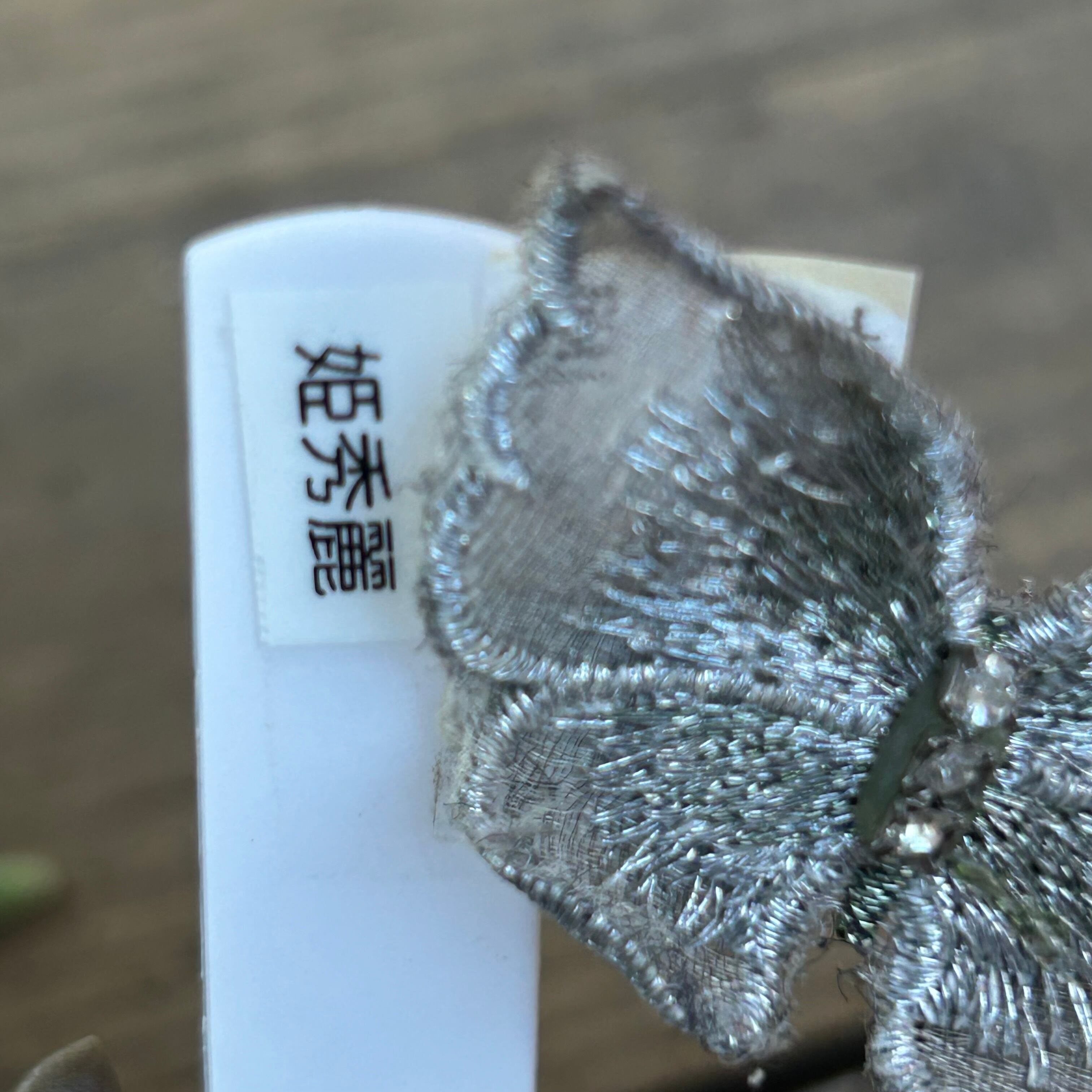 姫秀麗(姫秋麗) | RuPo 多肉植物専門店