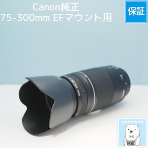 Canon純正 75-300mm EFマウント用 望遠レンズ シロクマカメラ a7179