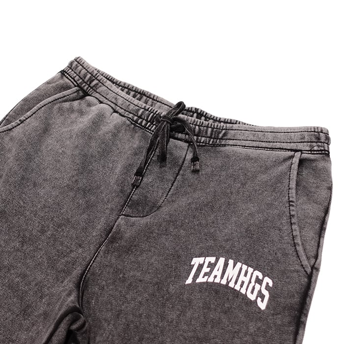 HIDEANDSEEK(ハイドアンドシーク) / TEAM SWEAT PANT(HP-020822)(L