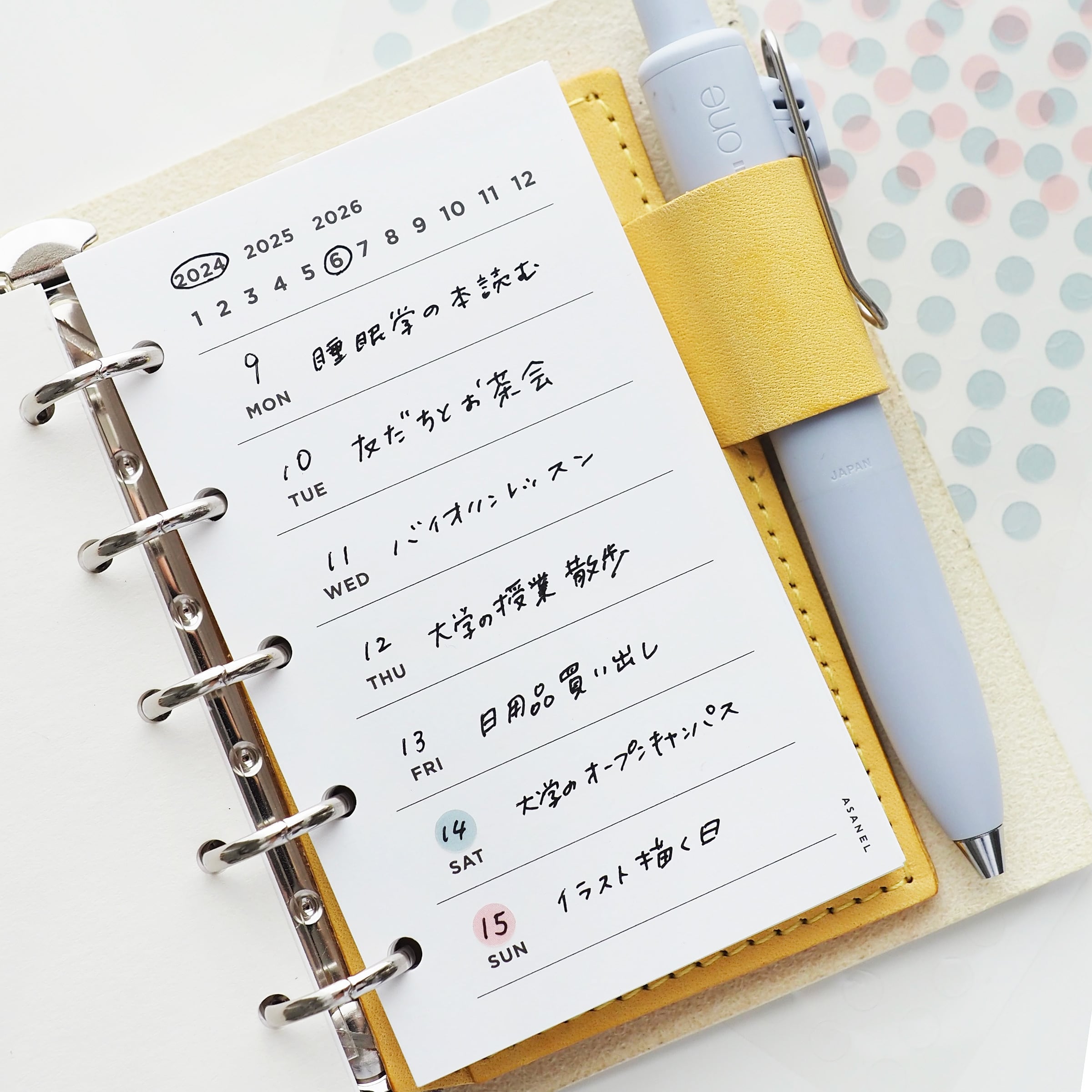 M5 ] LINE DAILY【穴有】・トイリフィル | ASANEL